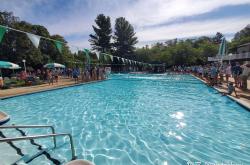 爱游戏官网入口-游泳选手实力悬殊，谁能逆袭登顶？的简单介绍