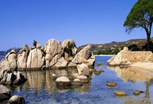 爱游戏培训-关于爵士全队气势如火，证明不容小觑实力的信息