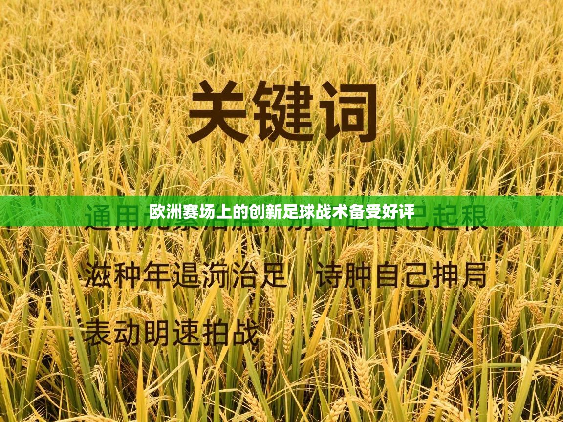 欧洲赛场上的创新足球战术备受好评  第2张