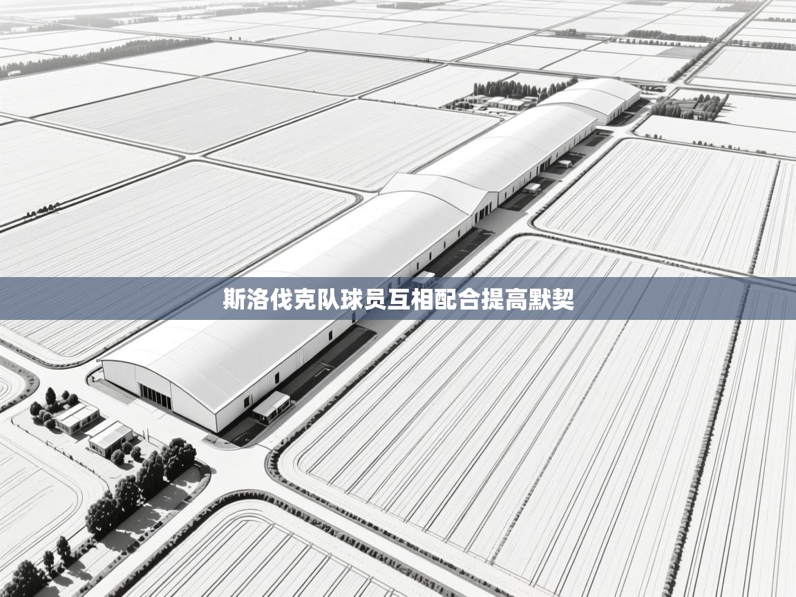 斯洛伐克队球员互相配合提高默契