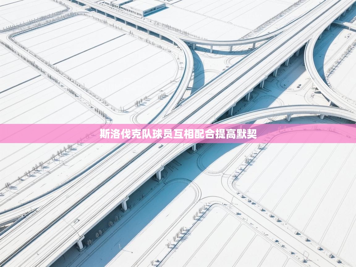 斯洛伐克队球员互相配合提高默契  第2张