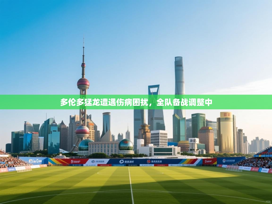 多伦多猛龙遭遇伤病困扰，全队备战调整中  第1张