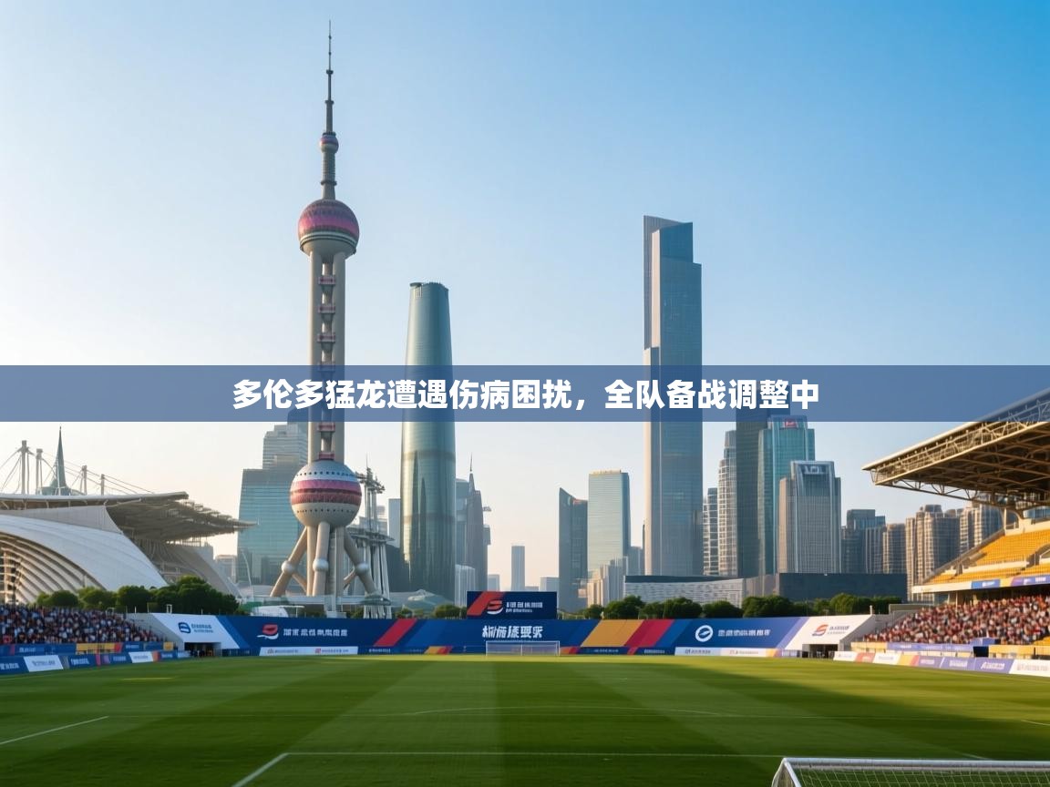 多伦多猛龙遭遇伤病困扰，全队备战调整中  第2张